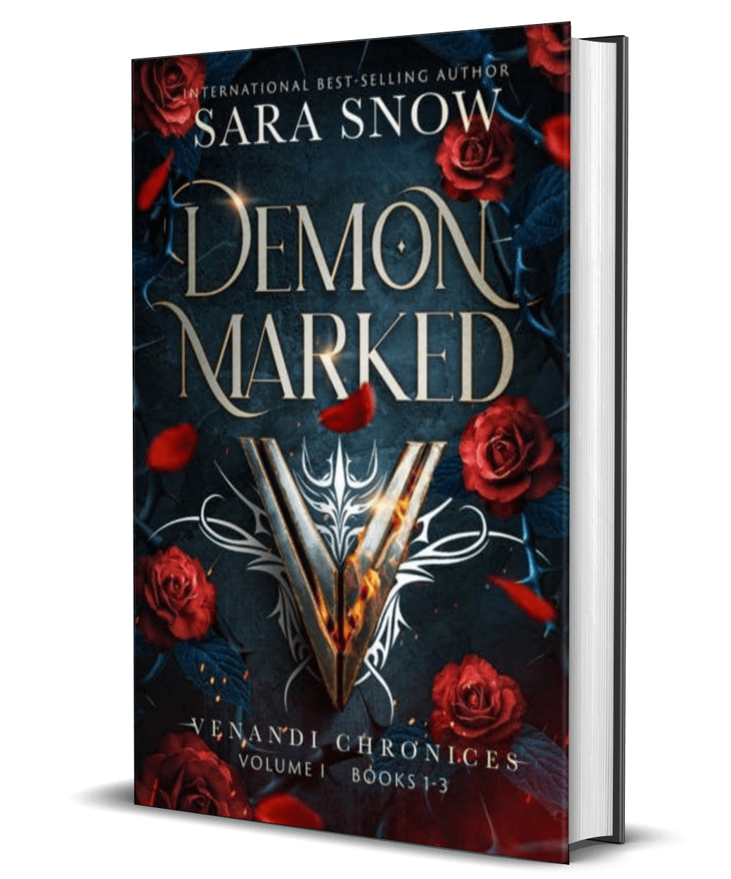 Demon Marked Hardback